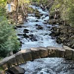 Scott MacBean - @smacbean - Instagram