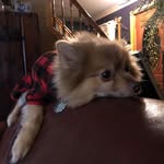 Scott Macfarland - @macfarlandscott - Instagram