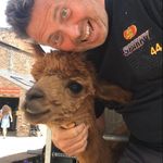 Scott MacIntyre - @scottymacsfx - Instagram