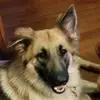 Scott MacIver - @scott.maciver7 - TikTok