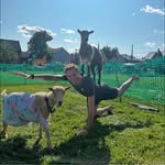 Scott MacTaggart - @scottmact_ - Instagram