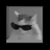 scott - @scott.madrid2 - TikTok