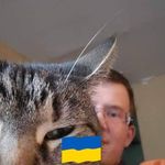 Scott Maloney - @diesel_cats - Instagram