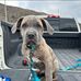 Monique Scott - Facebook