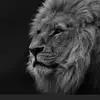Sarder_Nadim_Mahmud_ - @scott.manikk - TikTok