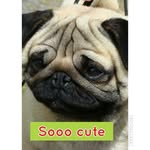 Alfie_instagram - @alfie.scott.manton - Instagram