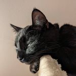Scott Maple - @nextyearsman - Instagram