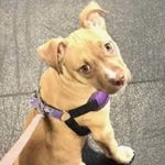 Scott Marcum - @scottela - Instagram