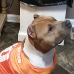 Scott Marcum - @smarcummusfibercom - Instagram