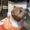 scottmarcum3 - @scott.marcum06 - TikTok