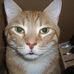 Scotch Mastrangelo - Facebook