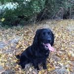 Scott Wheeler - @scottmate - Instagram