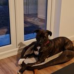 Scott james - @scottmathewson2203 - Instagram
