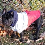 Scott Mathewson - @skizzot2009 - Instagram
