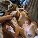 Scott Matus - @roomatus - Instagram