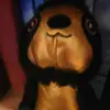 Scott Maxwell - @scitty_boy - TikTok