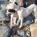 Scott Maxwell - Facebook
