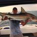 Scott McAdams - Facebook