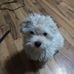 Scott Mcafee - Facebook