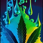 Scott Mcanally - Facebook