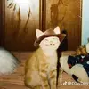 Scott McBeath - @zoronic2001 - TikTok