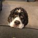 Scott McCarty - Facebook