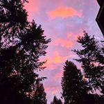 Scott Mccarty - @scottmccarty3 - Instagram