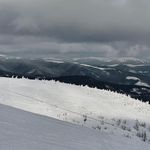 @scott_mcc_aw - Instagram