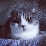 Scott McCloskey - @scott_mccloskey - Instagram