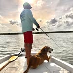 Scott McCracken - @dogseachaser - Instagram