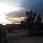 Scott Mccune - @scott.mccune.3591 - Instagram