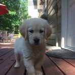Scott McDonald - Facebook