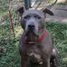 Scott Mcduffee - Facebook