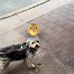 Scott McAvaney - Facebook