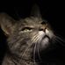 Scott McFadyen Photography - Facebook