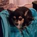 Scott McGhie - Facebook