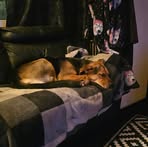 Scott Mcgilvray - Facebook