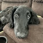 Scott Mckain - @mckainscott - Instagram