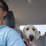 Scott Mckinnon - @mckscottie - Instagram