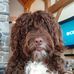 Scott McLane - Facebook