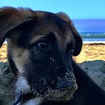 Scott McLelland - @maudethegerman - Instagram
