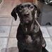 Scott Mclelland - Facebook