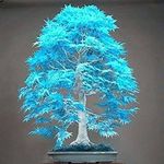 Scott Mcneal - @mcneal1471 - Instagram