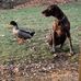 Scott Mcnees - Facebook