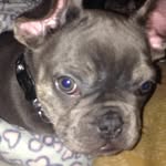Scott Mcneill - @mcneill6228 - Instagram