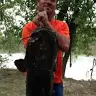 scott mcnutt - @user258258082 - TikTok