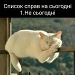 Наталья Реут - @scottmcpeak2021 - Instagram