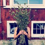 Scott McPheeters - @tamarackbotanicals - Instagram