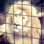 Scott McQuarrie - @scott_mcquarrie - Instagram
