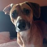 Scott Mcquillan - @scott.mcquillan.7146 - Instagram
